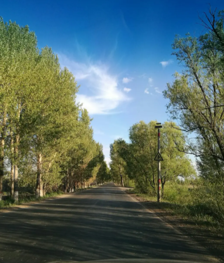 街道,隶属于黑龙江省大庆市<a target="