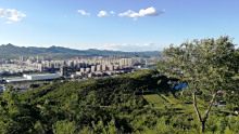 城市