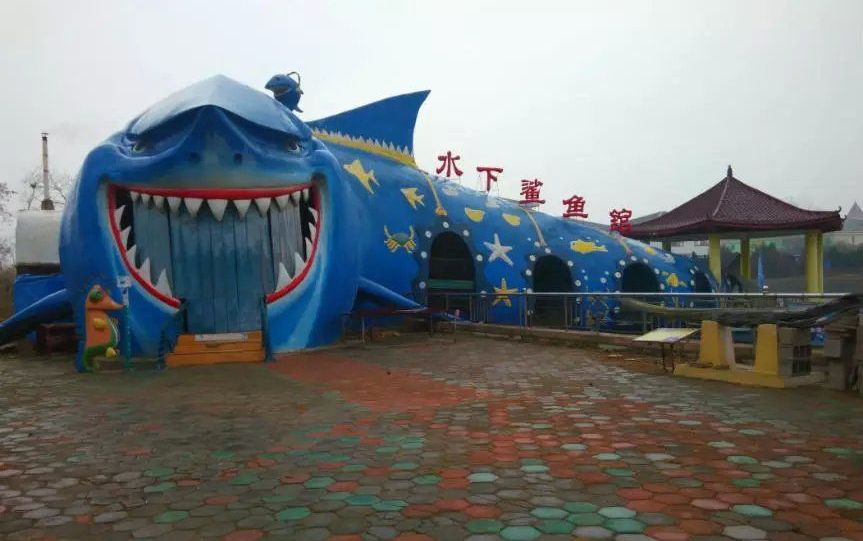 2164597">蓬莱市 /a>海港路88号蓬莱海洋极地世界,是国内最大的鲨鱼馆