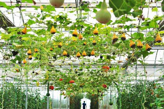 辽金时代观光园