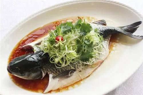 草鱼清蒸(草鱼清蒸的做法)