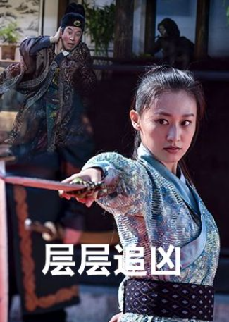 《层层追凶》是由朱维俐执导,候桐江,王岗,袁中方,王欢主演的古装电影