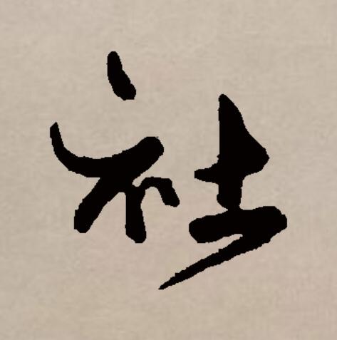 社