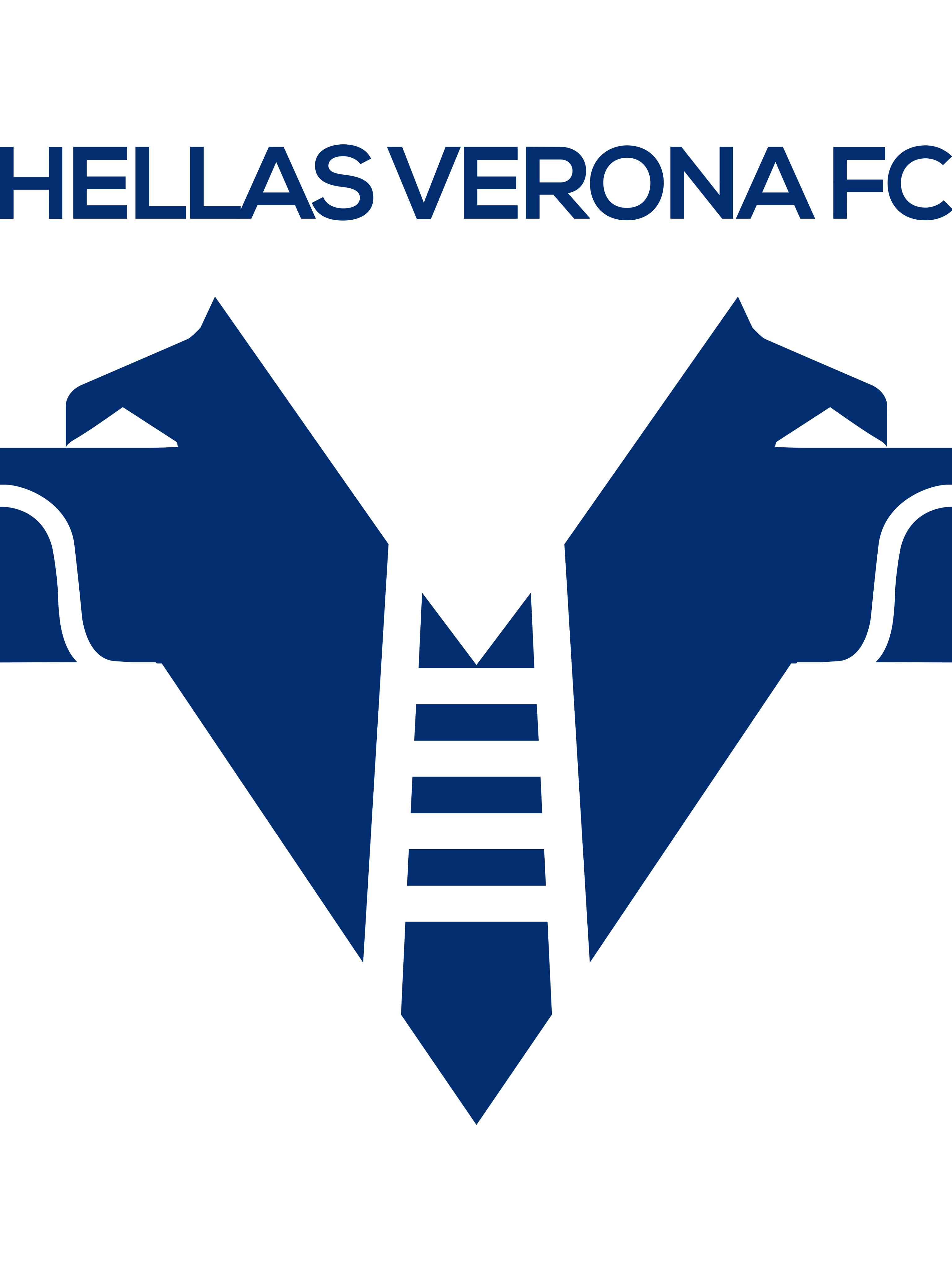  p>赫拉斯维罗纳足球俱乐部(hellas verona f.c.