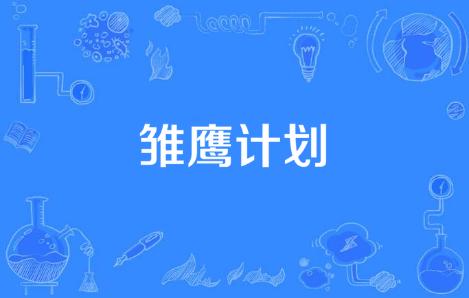 雏鹰计划