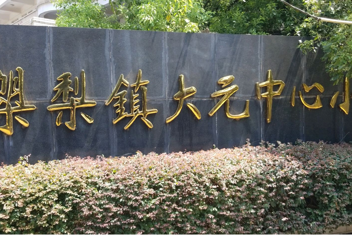  p> a target="_blank" href="/item/长沙市长沙县榔梨镇大元中心小学