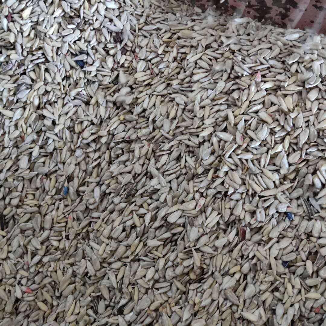  p data-id="gnwfrc7zz5">向日葵又名葵花,属 a target="_blank" href