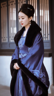 盛明兰（电视剧《知否知否应是绿肥红瘦》中的女主角）_百度百科