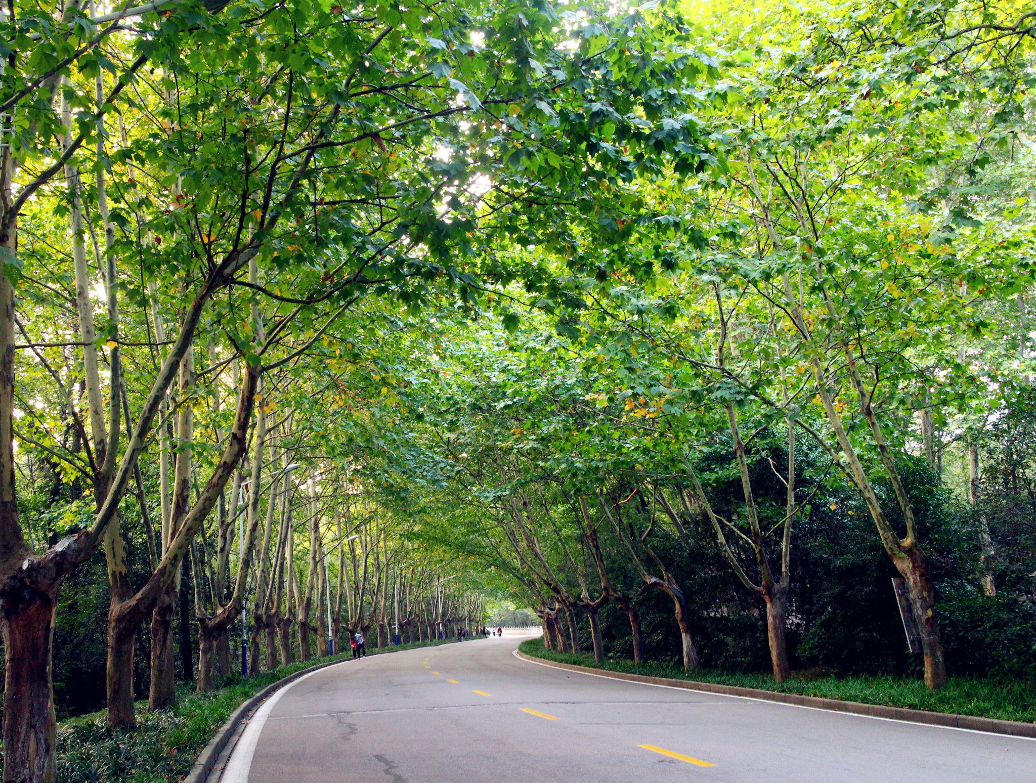  p>南京, a target="_blank" href="/item/江苏省/320938" data-lemma