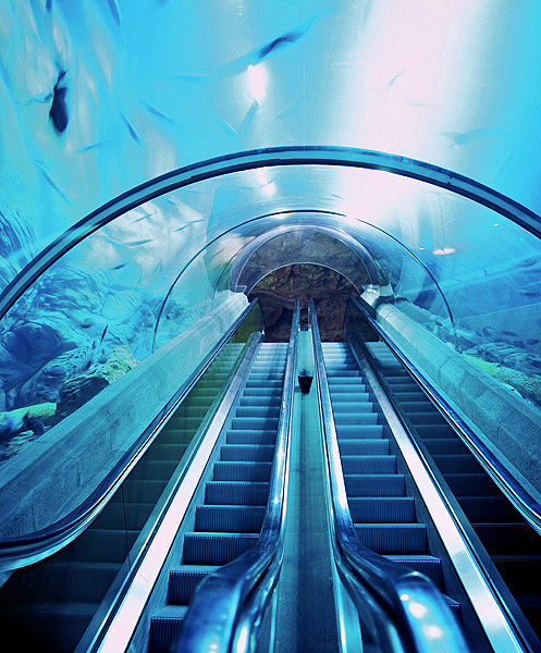  p>上海海洋水族馆位于中国上海市浦东新区陆家嘴环路1388号,紧邻