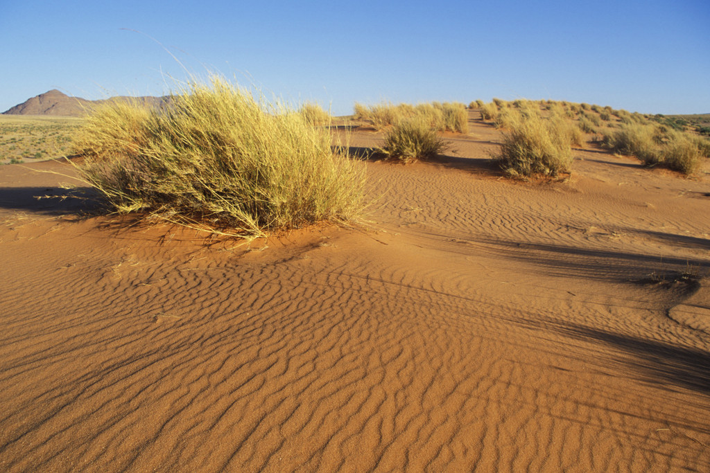  p>卡拉哈里沙漠(kalahari desert),属非洲南部内陆干燥区,也称作"