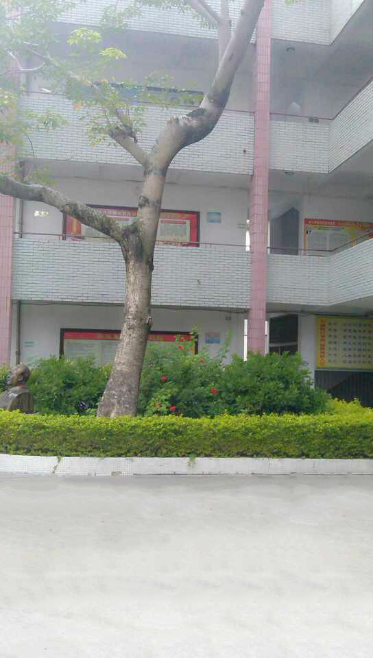  p> a href="#" data-lemmaid="1082893">外砂华侨中学 /a>,简称外砂