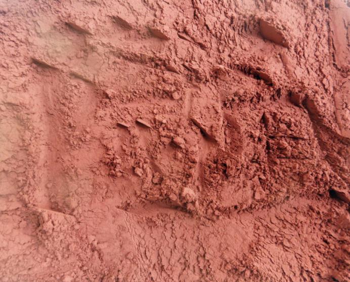  p>褐土(cinnamon soil),半湿润暖温带地区碳酸盐弱度 a target="