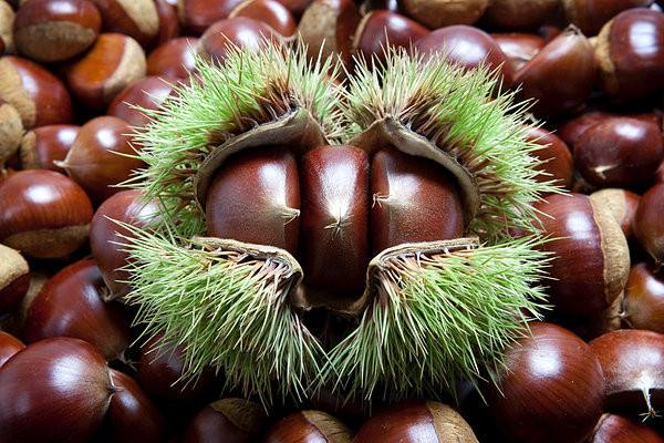 target="_blank" href="/item/集安市/5413705" data-lemmaid="54