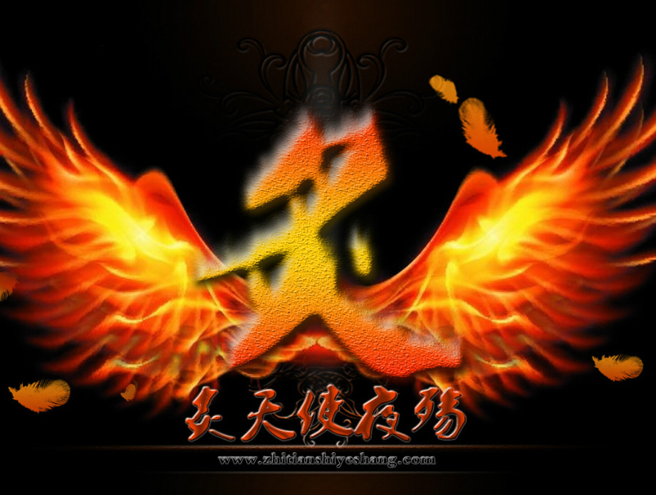 全网资源