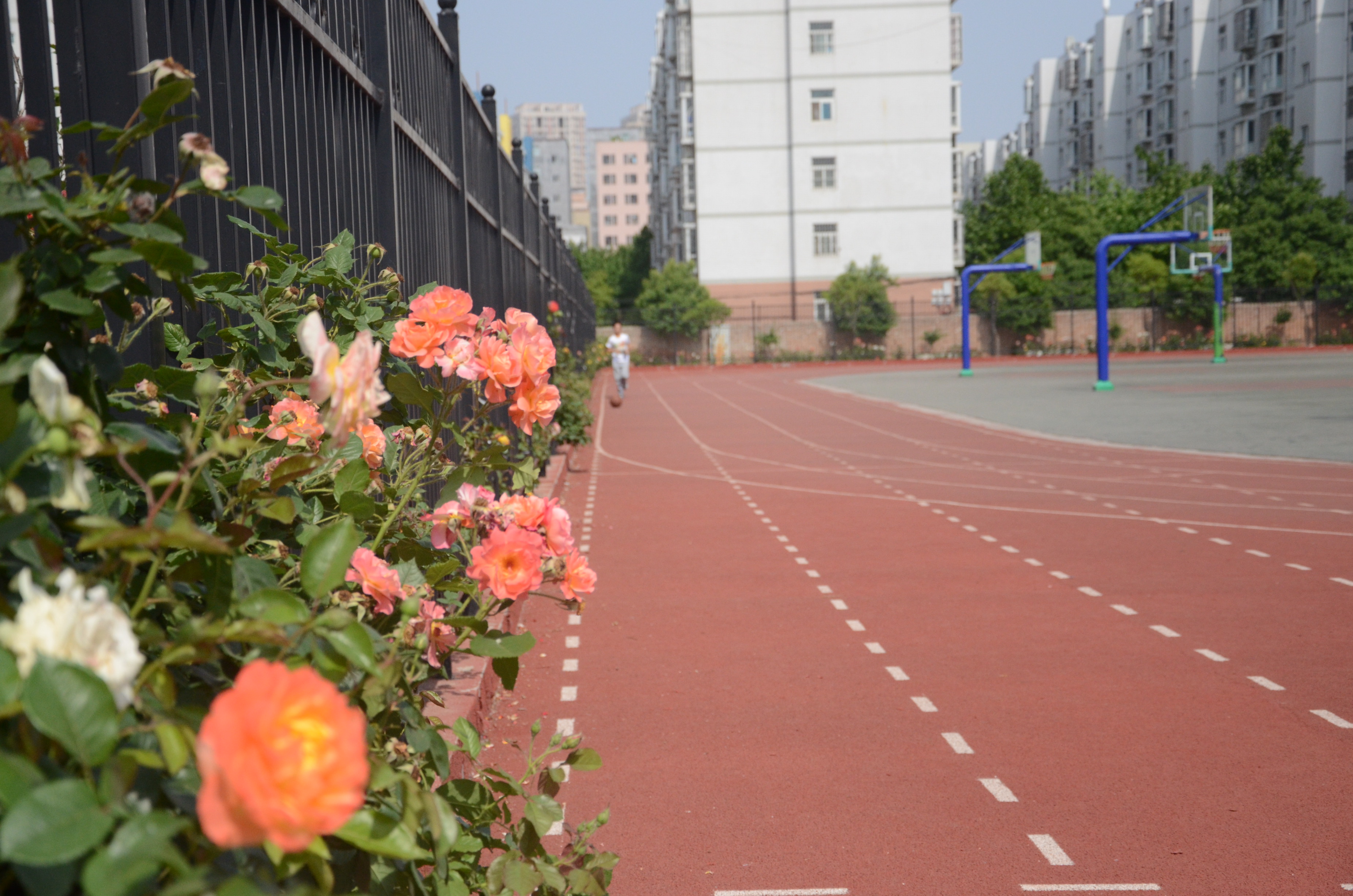  p>郑州新奇中学是 a href="#" data-lemmaid="10748369">郑州市教育