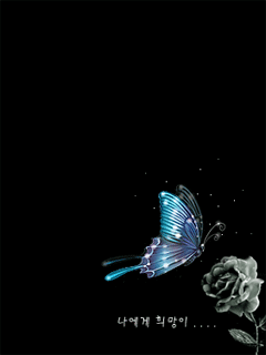 夜蝴蝶动态壁纸