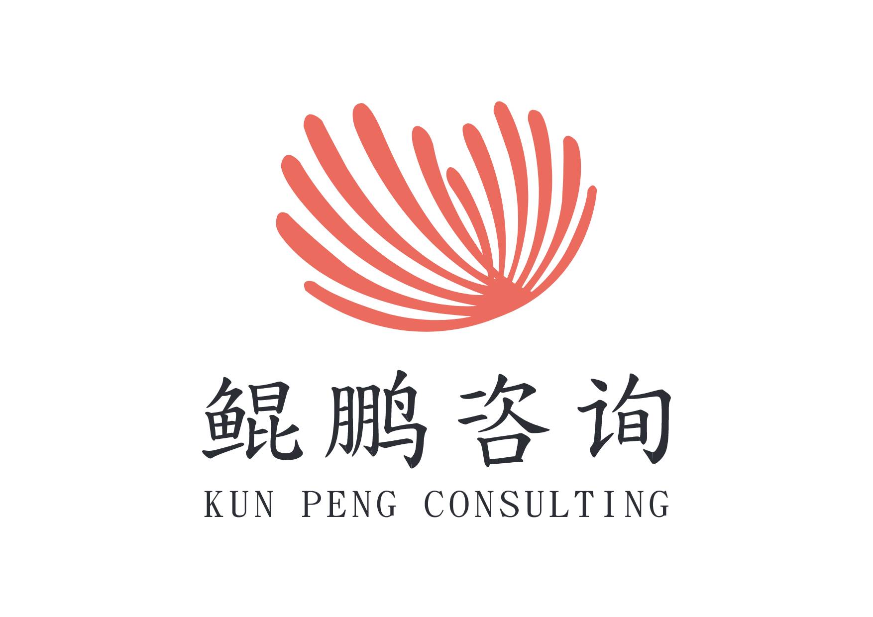 鲲鹏容聚(北京)信息咨询有限公司