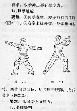 捕俘拳
