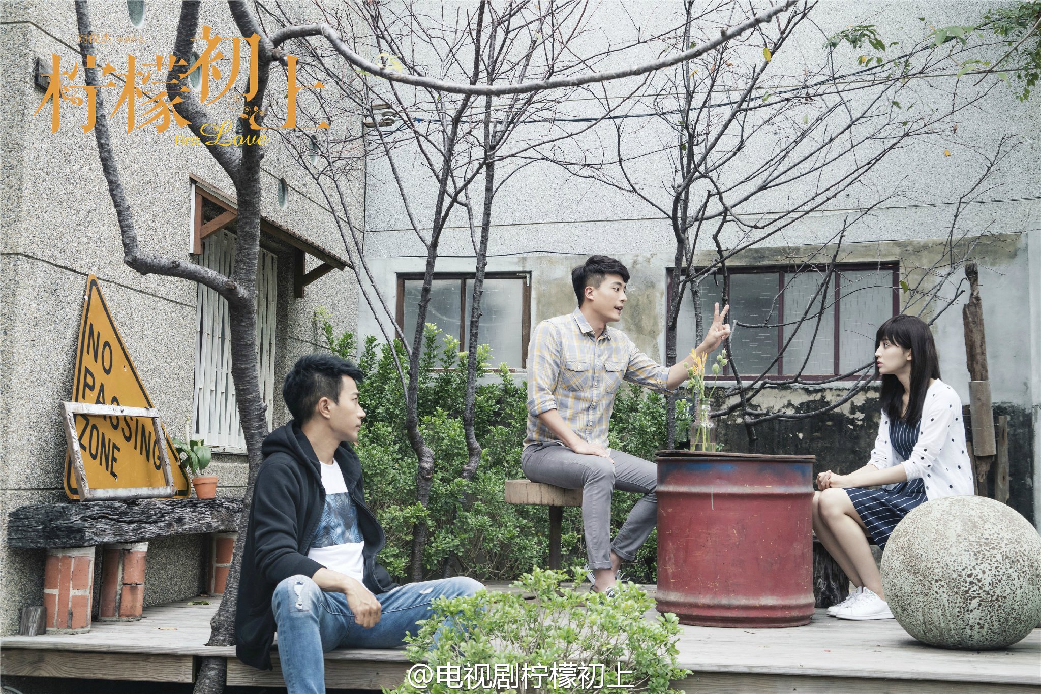  p>《柠檬初上》是由好剧影视,东阳福添影视联合出品,由 a target="