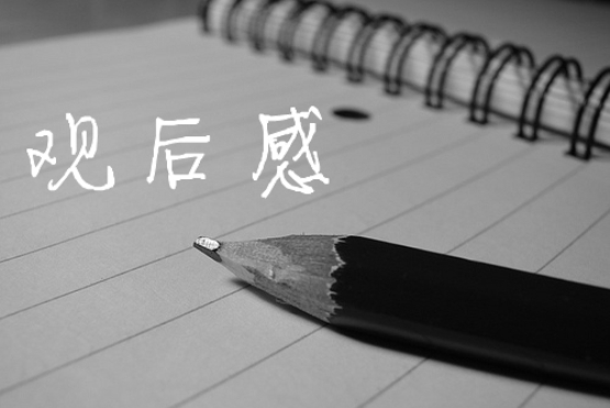 观后感