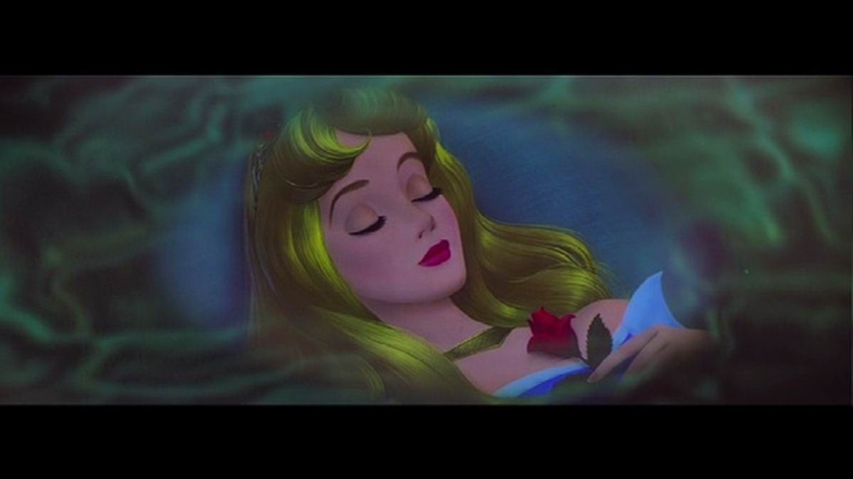 睡美人(2dvd9 送精美书籍)