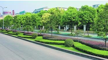  p>绿化带,指的是供绿化的条形地带.