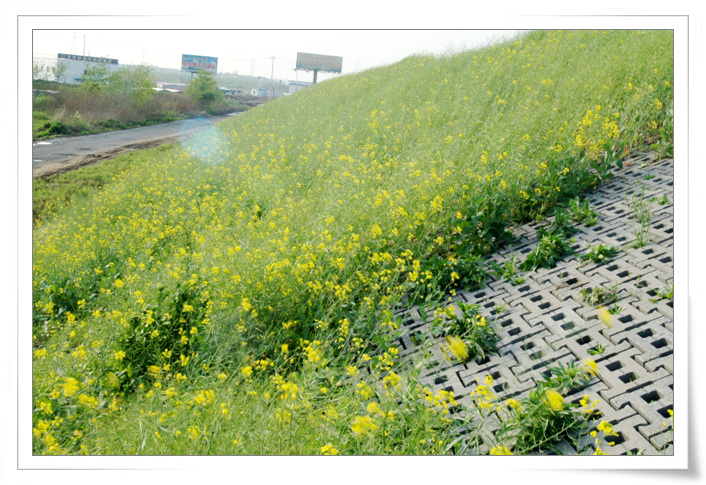 生态挡土墙