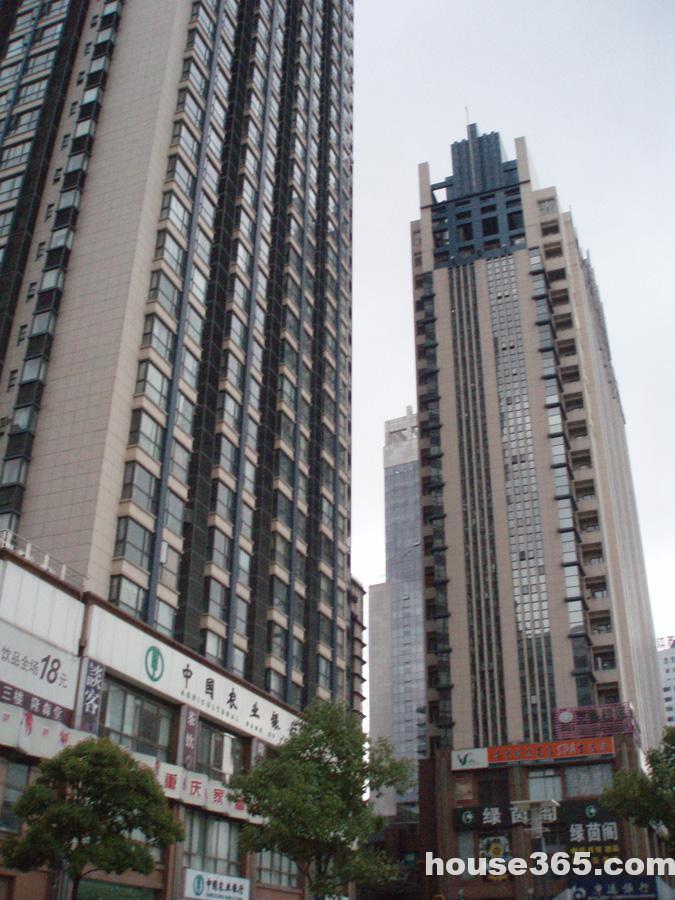 广州丰汇信息科技有限公司