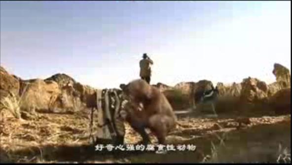 与远古人同行walkingwithcavemen(2003)