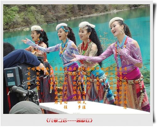 高原红组合