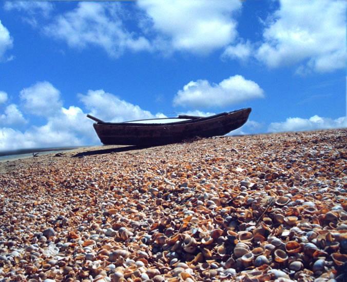  p>无棣贝壳堤岛与湿地系统省级自然保护区是世界上贝壳堤最完整,唯一