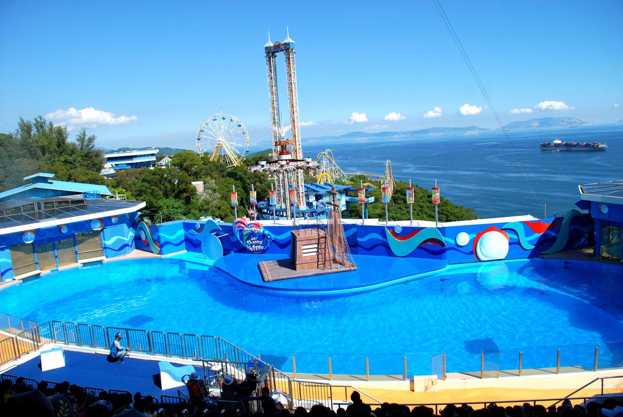 data-lemmaid="25353">海洋公园 /a>(ocean park hongkong)位于中国