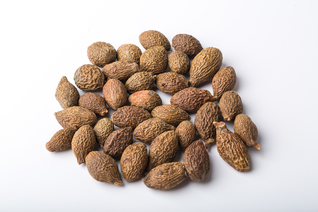  p>胖大海别名 :大海,大海子,大洞果,大发, a target="_blank" href="