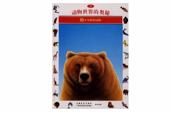 熊--冬眠的动物(3)