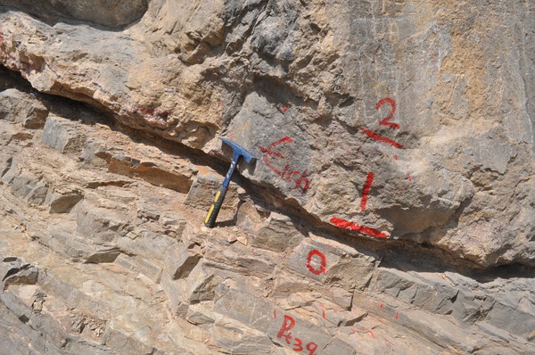  p>华北地区下寒武 a target="_blank" href="/item/地层/1197250"