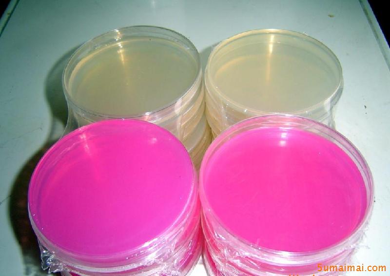 ">高氏 /a>一号 a target="_blank" href="/item/培养基/1317328"