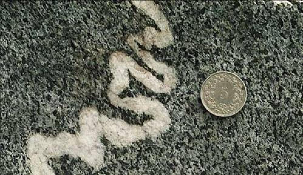 并特别是发育在 a target="_blank" href="/item/混合岩化作用