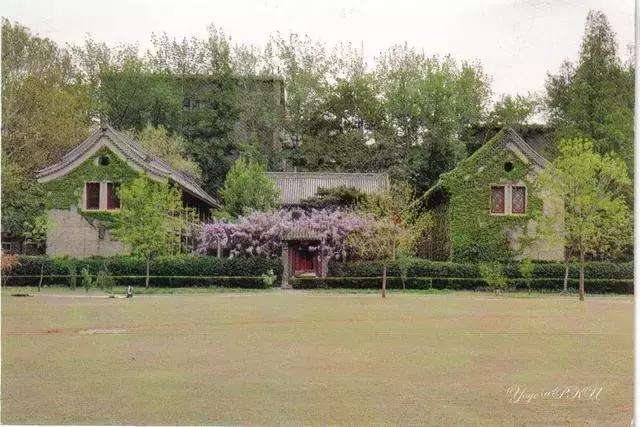  p data-id="gnx33t7355">静园位于北京大学 a target="_blank" href=