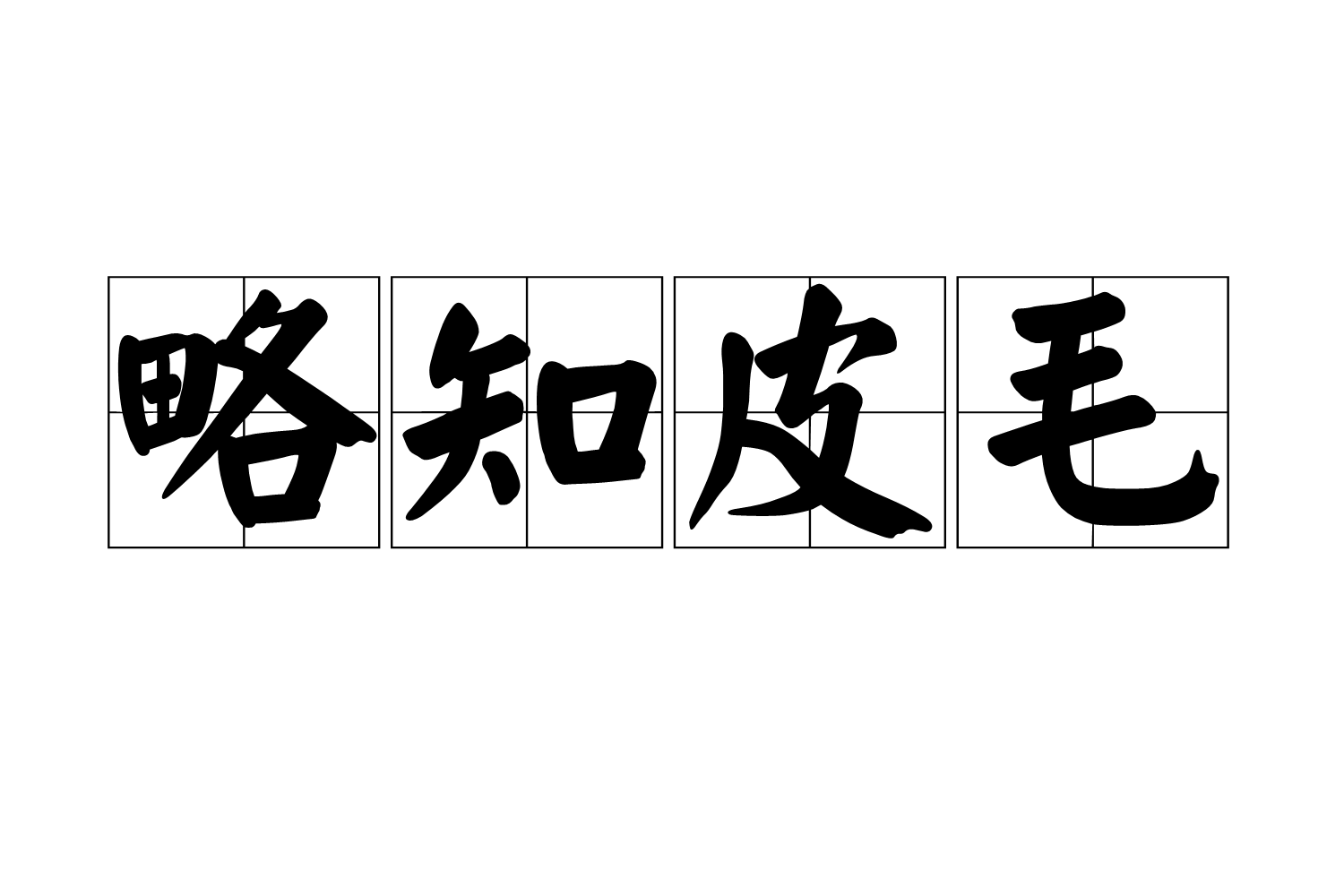  p>略知皮毛,汉语成语,拼音是lüè zhī pí máo,意思是比喻稍知