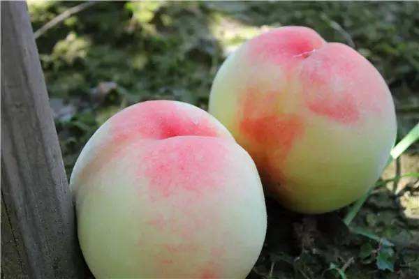 ">甘肃省 /a>兰州市 a target="_blank" href="/item/安宁区/2970838"