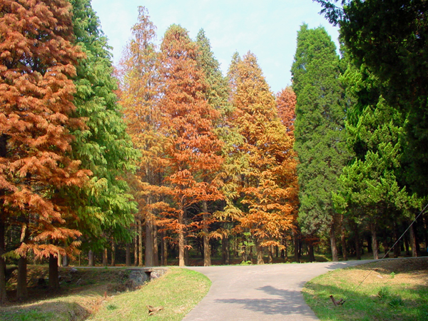 中国科学院南京中山植物园