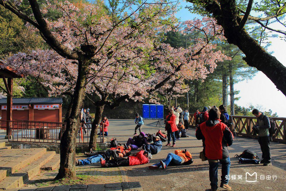 阿里山森林公园