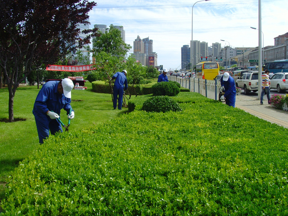 园林植物养护