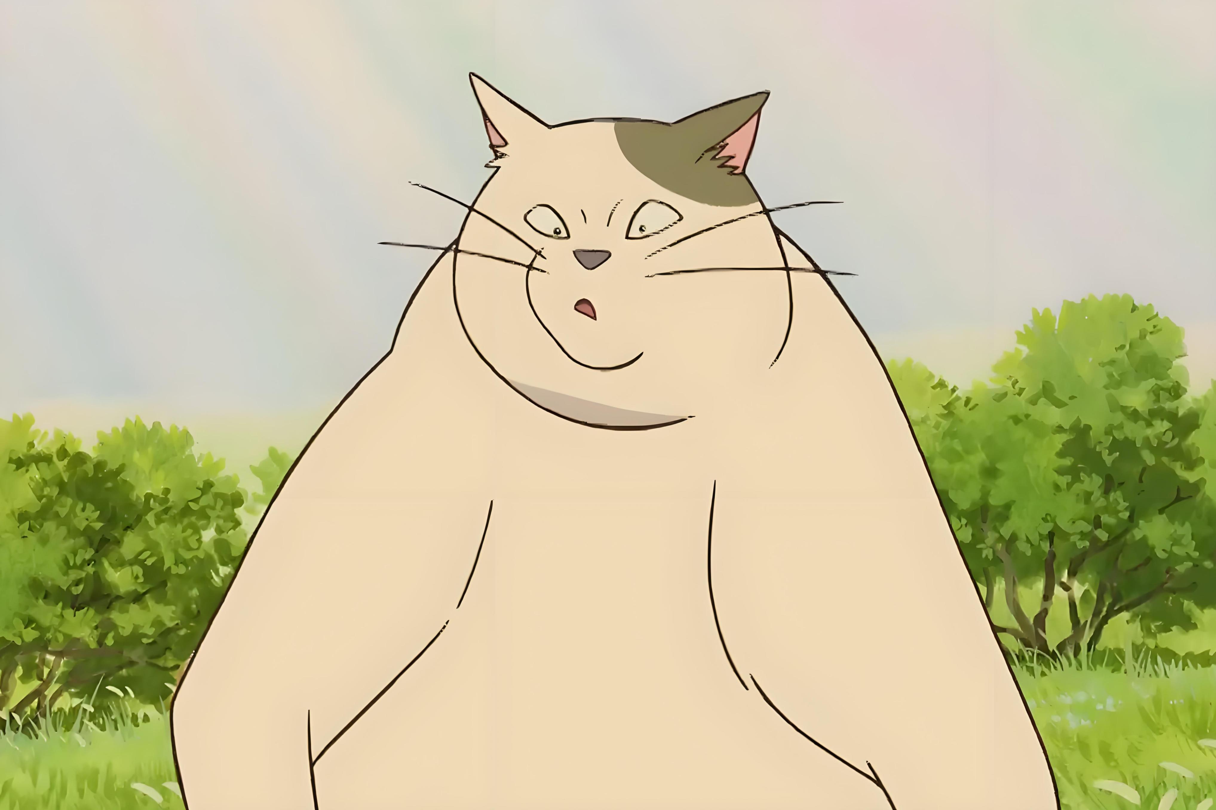 胖胖muta