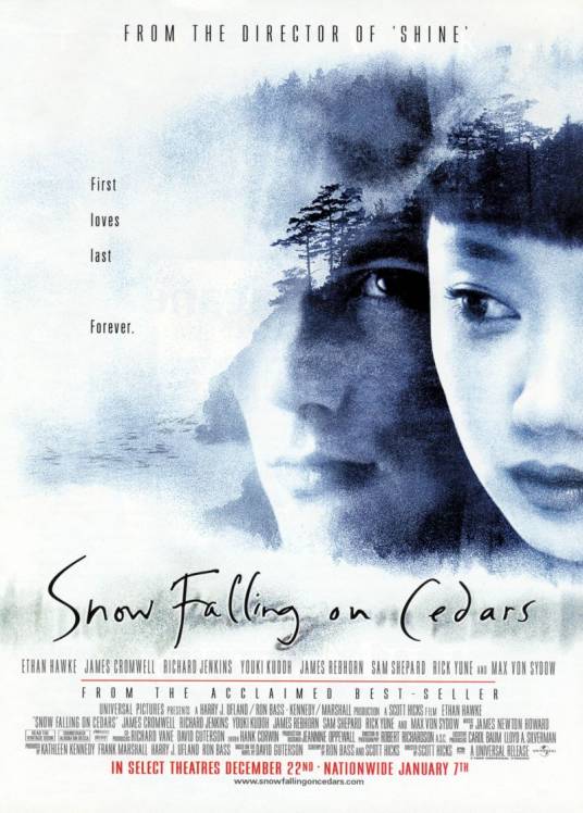 落在香杉树的雪花