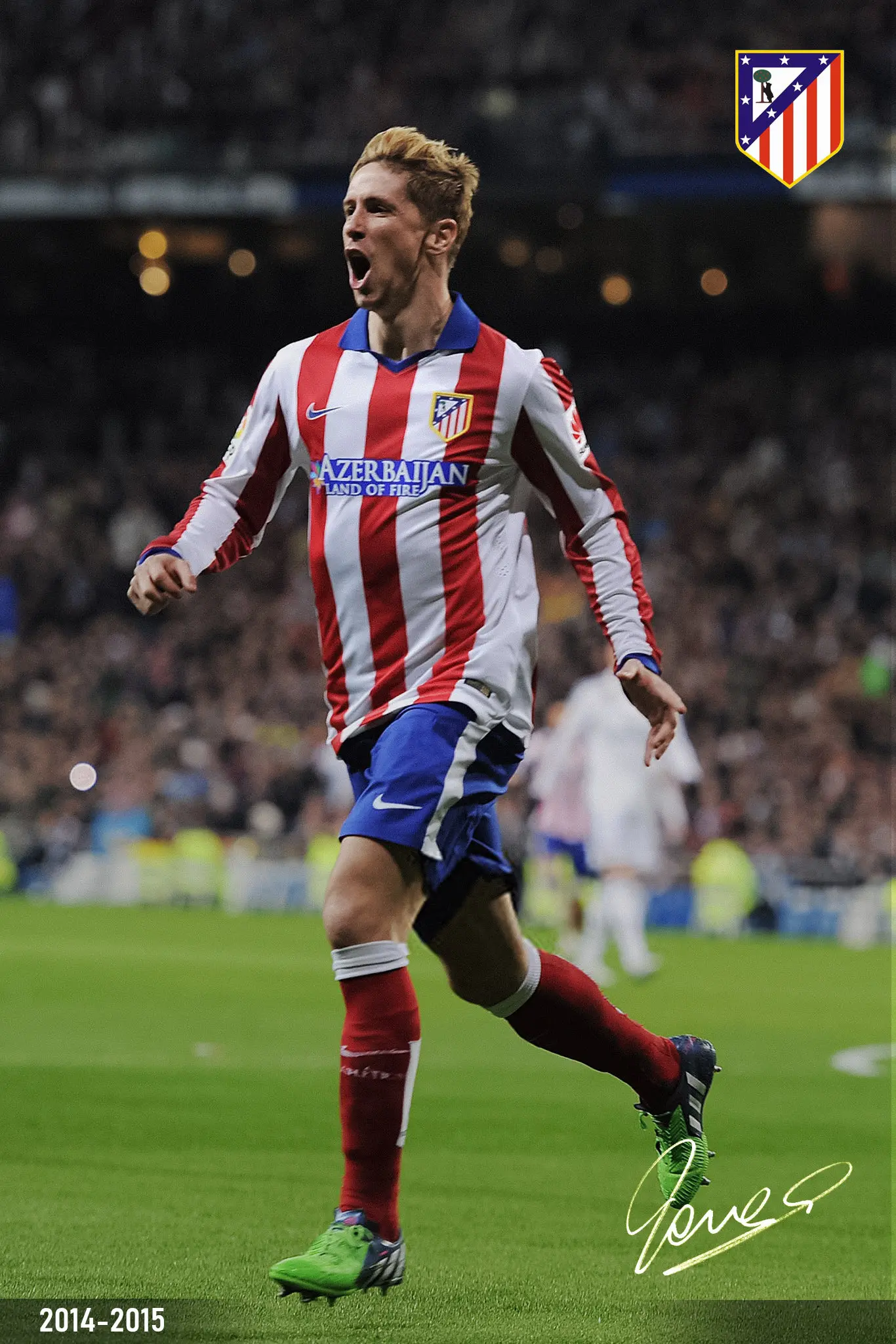 fernando jose torres sanz
