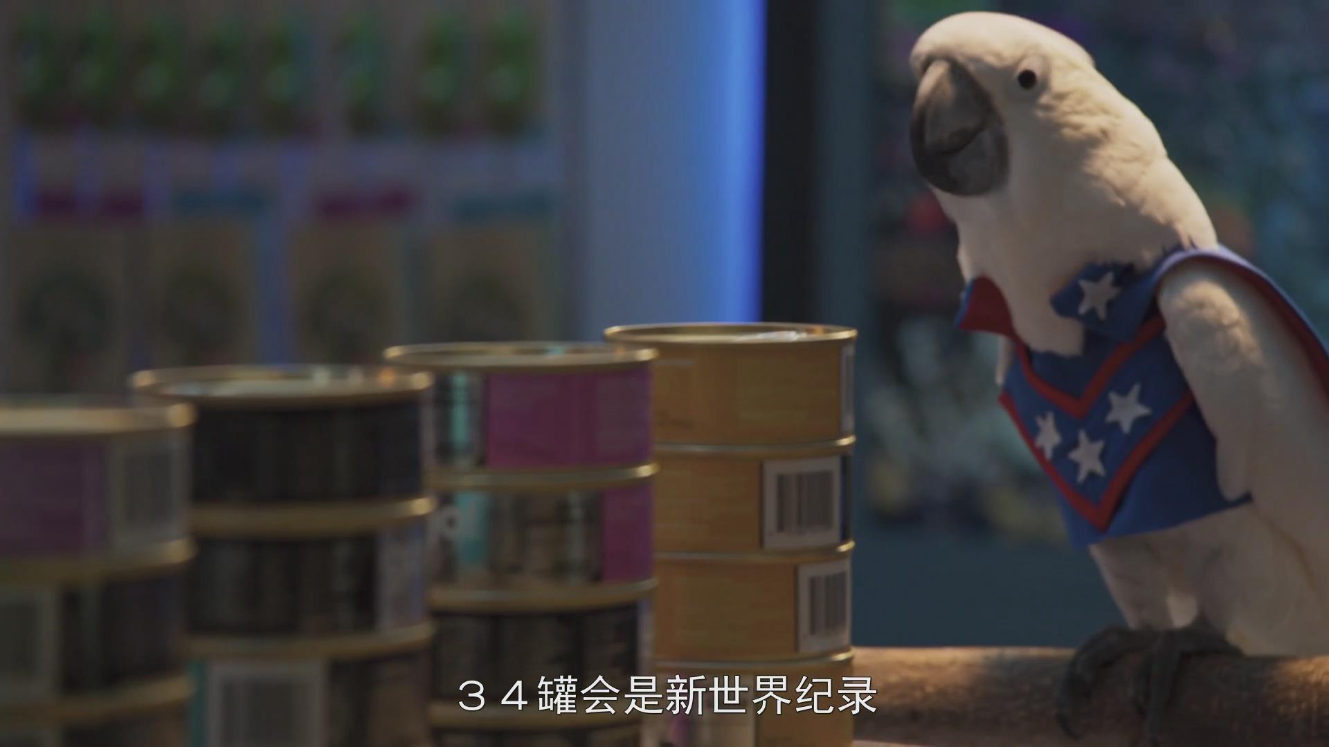 猫狗大战3:爪爪集结!