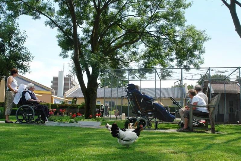  p>老年乐园是一座位于青岛市北区延安路的公园.