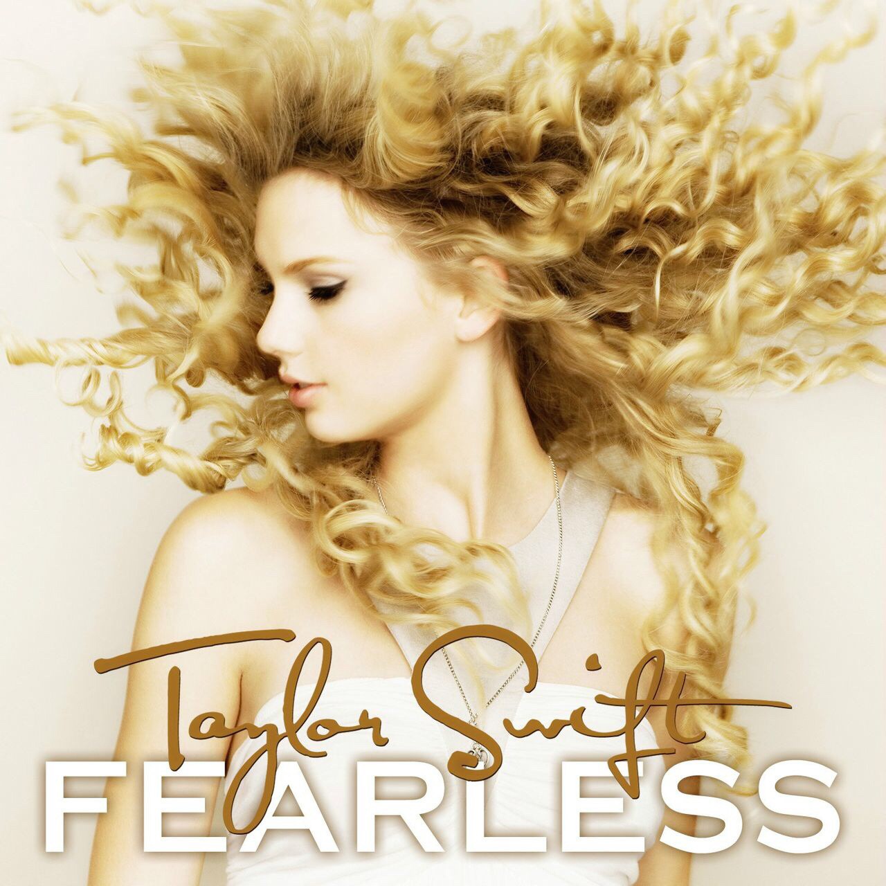 " data-lemmaid="14425394">fearless》中的一首美国乡村音乐歌曲